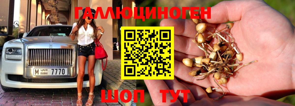 Псилоцибиновые грибы MAGIC MUSHROOMS Верхний Уфалей